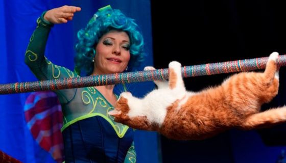 Театр кошек Юрия Куклачёва. Коты спасают мир