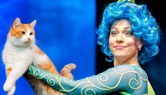 Театр кошек Юрия Куклачёва. Коты спасают мир