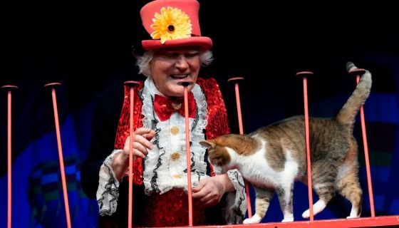 Театр кошек Юрия Куклачёва. Коты спасают мир