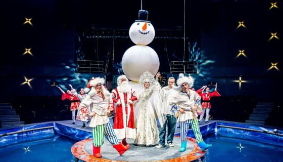 Цирк на воде «Царство фонтанов»