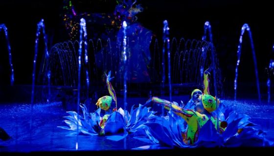 Цирк на воде «Царство фонтанов»