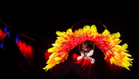 Цирк на воде «Царство фонтанов»