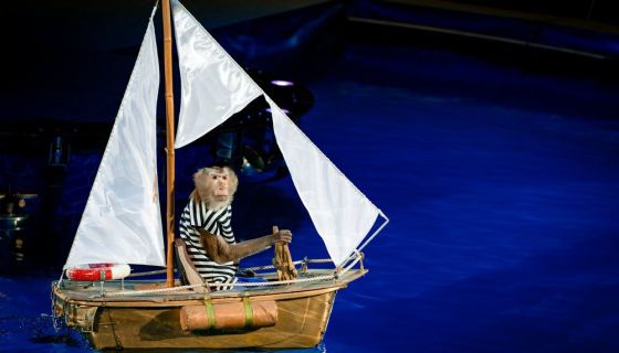 Цирк на воде «Царство фонтанов»