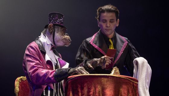 Цирк «И100рия»