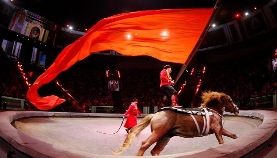 Цирк «И100рия»