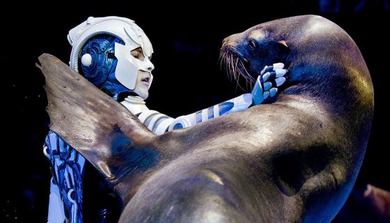 Цирк «И100рия»