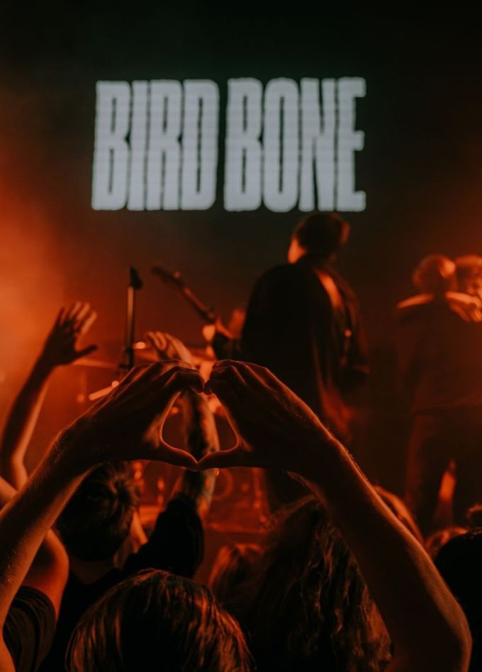 Bird Bone